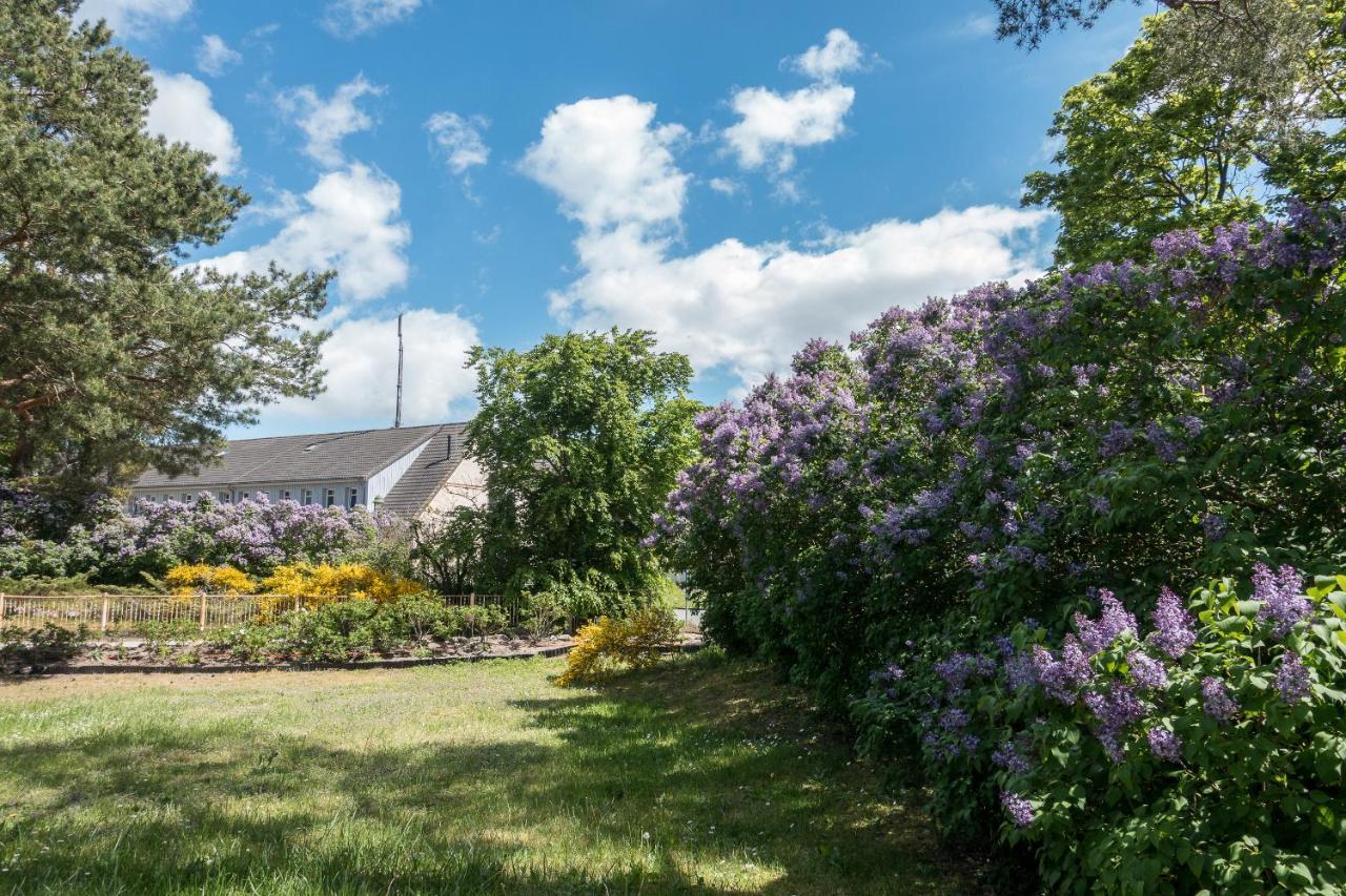 Premiumhaus Bodden Und Mehr-Brise Villa Born Exteriör bild